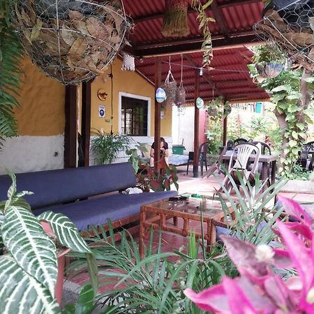 Hotel Mi Refugio Tayrona Santa Marta  Exterior foto